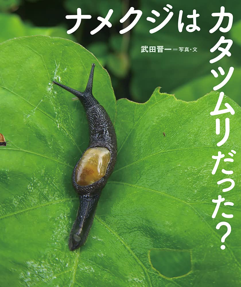 絵本「ナメクジはカタツムリだった？」の表紙（大サイズ）