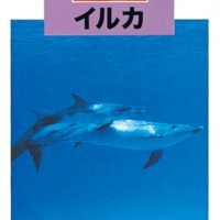 絵本「どうぶつの赤ちゃん イルカ」の表紙