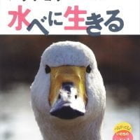 絵本「ハクチョウ 水べに生きる」の表紙（サムネイル）