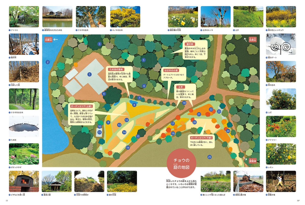 絵本「小さな里山をつくる チョウたちの庭」の一コマ