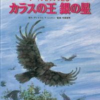 絵本「カラスの王 銀の星」の表紙（サムネイル）