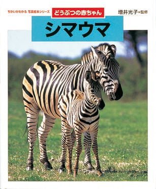 絵本「どうぶつの赤ちゃん シマウマ」の表紙（詳細確認用）（中サイズ）