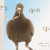 絵本「ぽっ ぽの ぽ」の表紙（サムネイル）