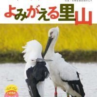 絵本「コウノトリ よみがえる里山」の表紙（サムネイル）