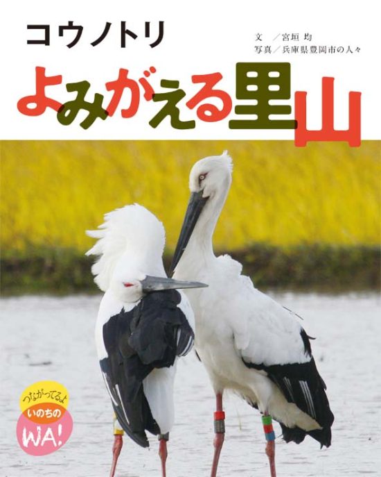 絵本「コウノトリ よみがえる里山」の表紙（全体把握用）（中サイズ）