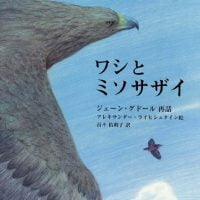 絵本「ワシとミソサザイ」の表紙（サムネイル）