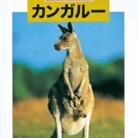 絵本「どうぶつの赤ちゃん カンガルー」の表紙（サムネイル）