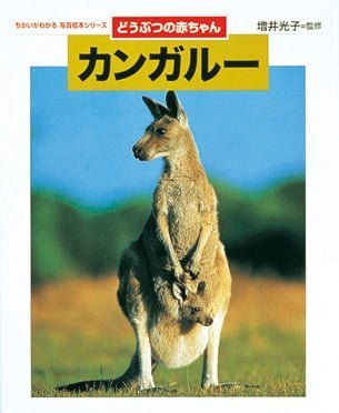 絵本「どうぶつの赤ちゃん カンガルー」の表紙（詳細確認用）（中サイズ）