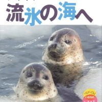 絵本「アザラシ 流氷の海へ」の表紙（サムネイル）