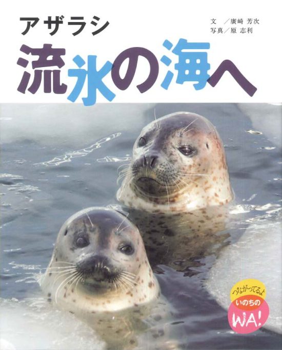 絵本「アザラシ 流氷の海へ」の表紙（全体把握用）（中サイズ）