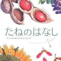 絵本「たねのはなし かしこくておしゃれでふしぎな、ちいさないのち」の表紙（サムネイル）