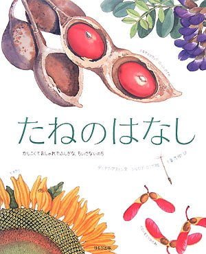 絵本「たねのはなし かしこくておしゃれでふしぎな、ちいさないのち」の表紙（詳細確認用）（中サイズ）