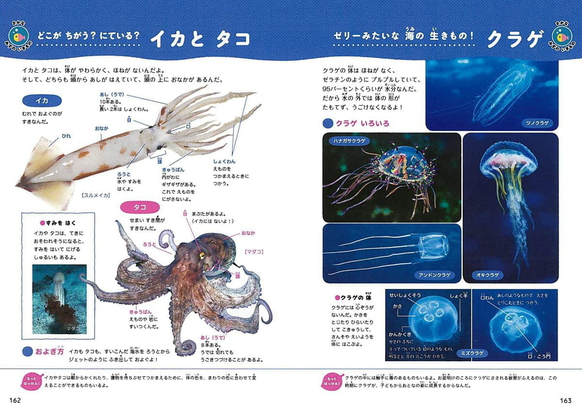 絵本「いきもののはっけん！ ハンディ図鑑」の一コマ3