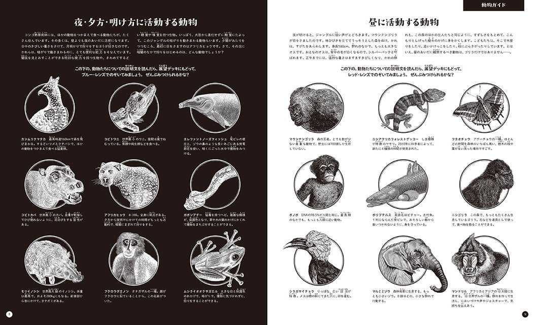 絵本「イルミネイチャー」の一コマ3