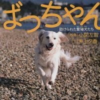 絵本「ばっちゃん 助けられた繁殖犬たち」の表紙（サムネイル）