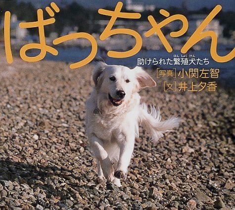 絵本「ばっちゃん 助けられた繁殖犬たち」の表紙（詳細確認用）（中サイズ）