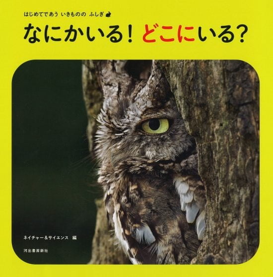 絵本「なにかいる！ どこにいる？」の表紙（全体把握用）（中サイズ）