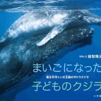 絵本「まいごになった子どものクジラ」の表紙（サムネイル）