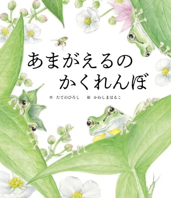 絵本「あまがえるのかくれんぼ」の表紙（中サイズ）