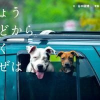 絵本「きょう まどから ふく かぜは」の表紙（サムネイル）