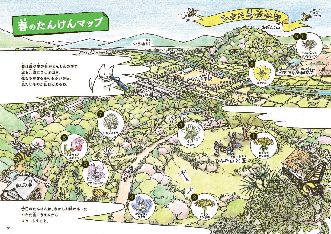 絵本「ドクターマキノの植物たんけん雑草のサバイバル大作戦」の一コマ2