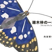 絵本「雑木林の一年」の表紙（サムネイル）