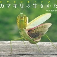 絵本「カマキリの生きかた」の表紙（サムネイル）