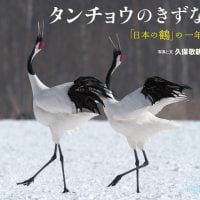 絵本「タンチョウのきずな」の表紙（サムネイル）