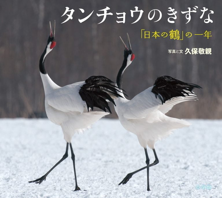 絵本「タンチョウのきずな」の表紙（詳細確認用）（中サイズ）