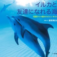 絵本「イルカと友達になれる海」の表紙（サムネイル）