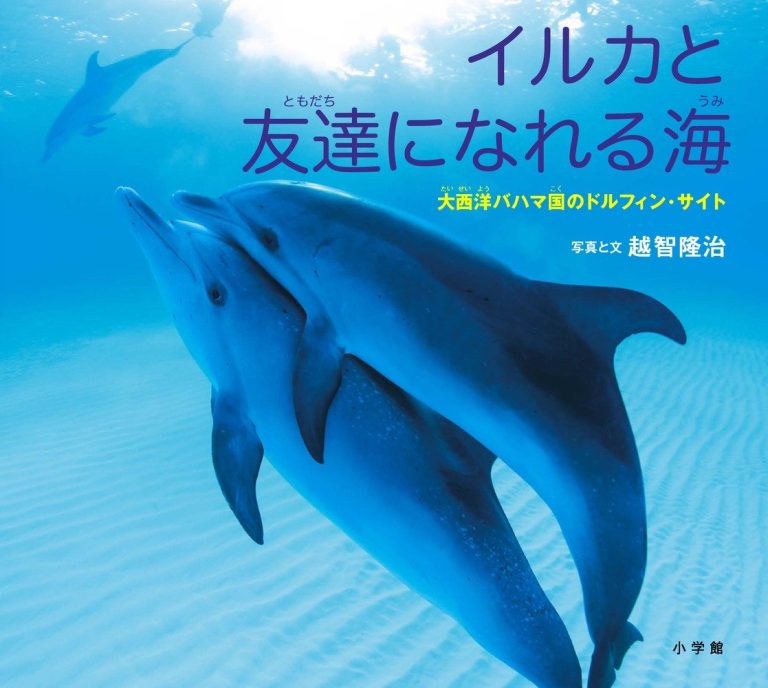 絵本「イルカと友達になれる海」の表紙（詳細確認用）（中サイズ）