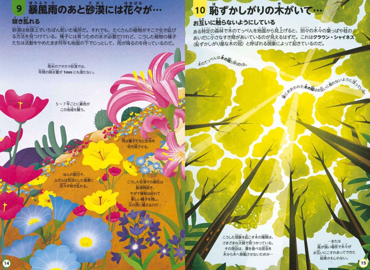 絵本「インフォグラフィックスで学ぶ楽しいサイエンス 地球について知っておくべき100のこと」の一コマ6