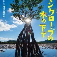 絵本「マングローブの木の下で」の表紙（サムネイル）