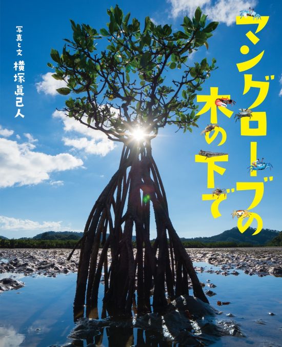 絵本「マングローブの木の下で」の表紙（全体把握用）（中サイズ）