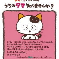 絵本「タマの３丁目物語 うちのタマ知りませんか？」の表紙（サムネイル）