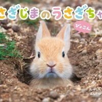 絵本「うさぎじまのうさぎちゃん」の表紙（サムネイル）