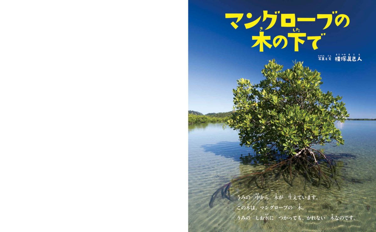 絵本「マングローブの木の下で」の一コマ