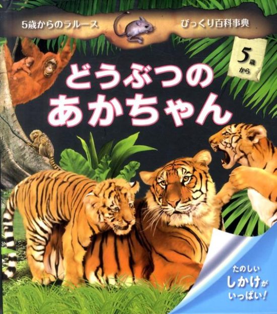 絵本「どうぶつのあかちゃん」の表紙（全体把握用）（中サイズ）