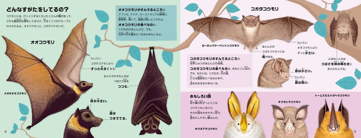 絵本「コウモリの本」の一コマ