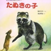 絵本「たぬきの子」の表紙（サムネイル）