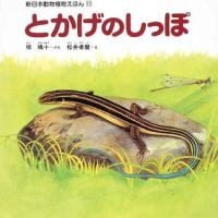 絵本「とかげのしっぽ」の表紙（サムネイル）