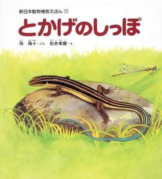 絵本「とかげのしっぽ」の表紙（詳細確認用）（中サイズ）