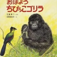 絵本「おはよう ちびっこゴリラ」の表紙（サムネイル）