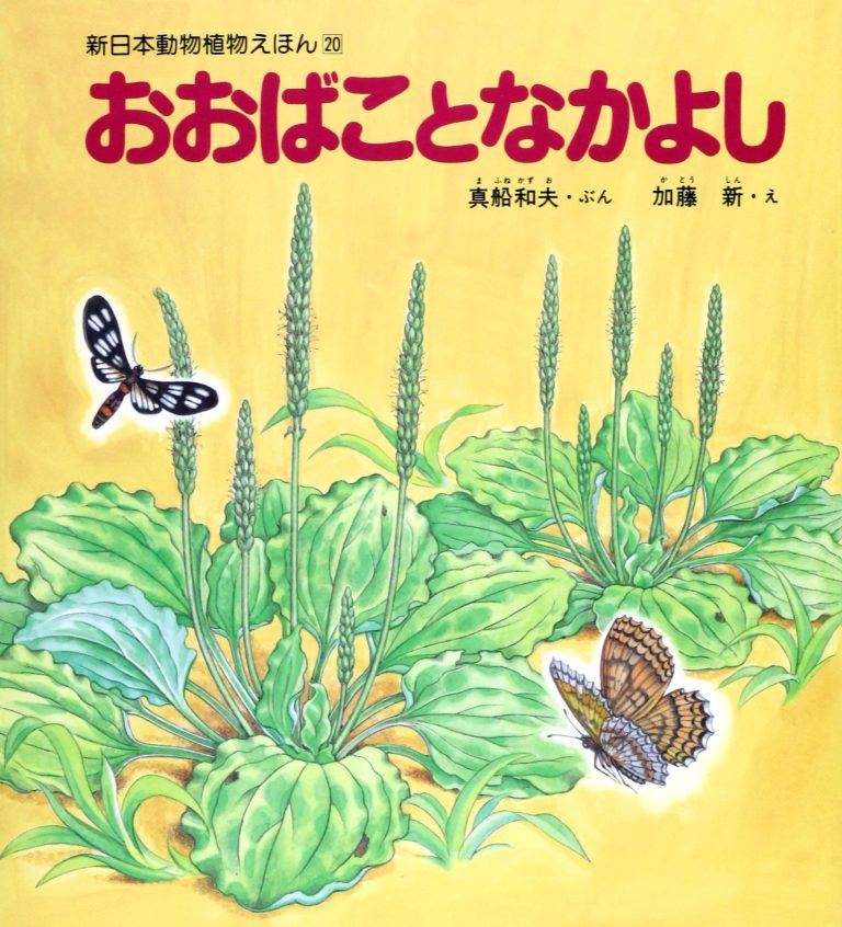 絵本「おおばことなかよし」の表紙（詳細確認用）（中サイズ）