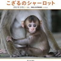 絵本「こざるのシャーロット」の表紙（サムネイル）