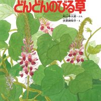 絵本「どんどんのびる草」の表紙（サムネイル）