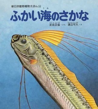 絵本「ふかい海のさかな」の表紙（詳細確認用）（中サイズ）