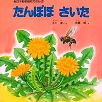 絵本「たんぽぽ さいた」の表紙（サムネイル）