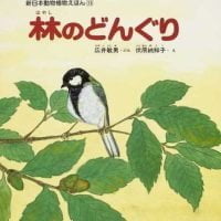 絵本「林のどんぐり」の表紙（サムネイル）