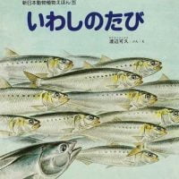 絵本「いわしのたび」の表紙（サムネイル）